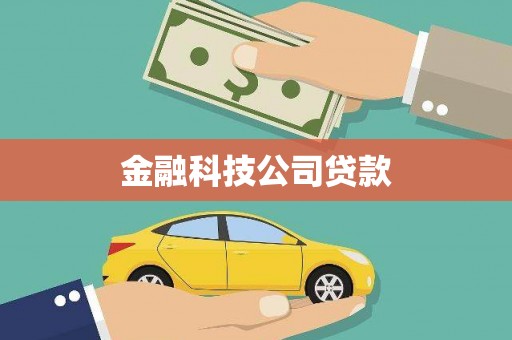 鱼峰金融科技公司贷款