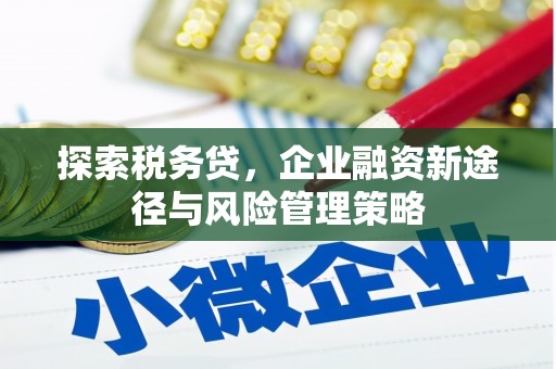 鱼峰探索税务贷，企业融资新途径与风险管理策略