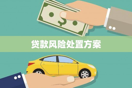 鱼峰贷款风险处置方案