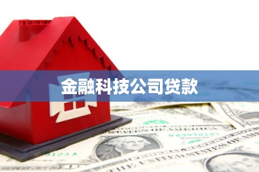 鱼峰金融科技公司贷款