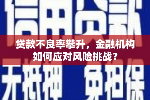 鱼峰贷款不良率攀升，金融机构如何应对风险挑战？