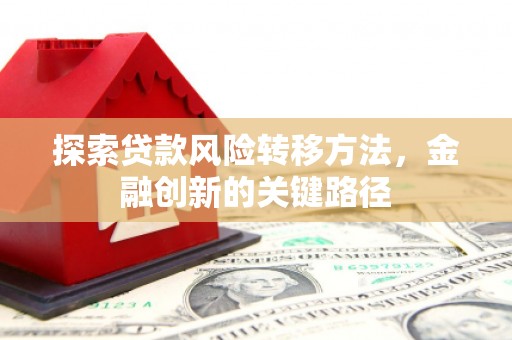 鱼峰探索贷款风险转移方法，金融创新的关键路径