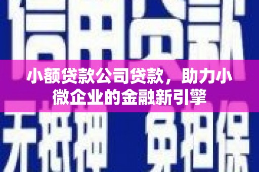 鱼峰小额贷款公司贷款，助力小微企业的金融新引擎