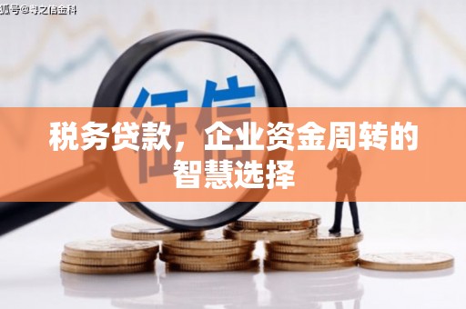 鱼峰税务贷款，企业资金周转的智慧选择