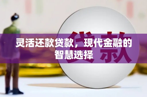 鱼峰灵活还款贷款，现代金融的智慧选择