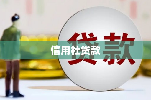 鱼峰信用社贷款