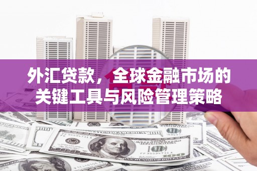 鱼峰外汇贷款，全球金融市场的关键工具与风险管理策略