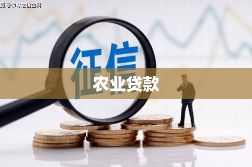 鱼峰农业贷款