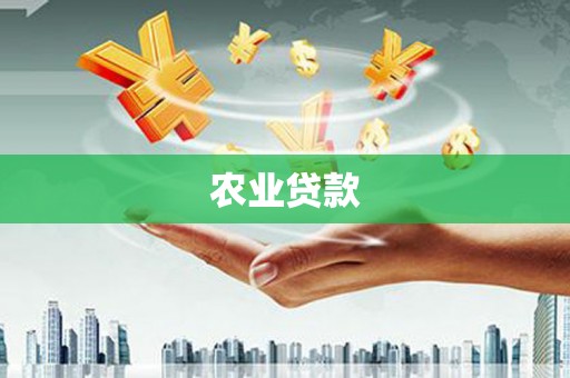 鱼峰农业贷款
