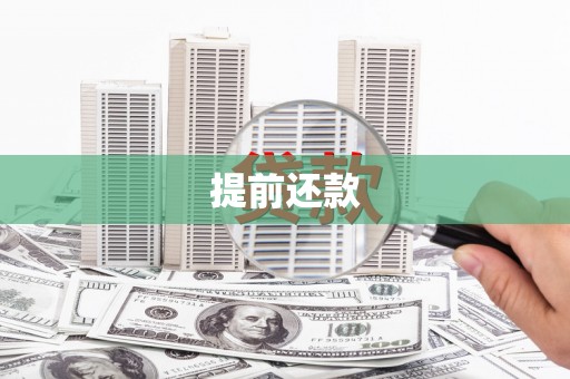 鱼峰提前还款
