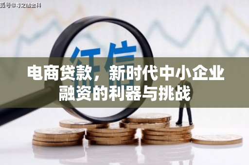 鱼峰电商贷款，新时代中小企业融资的利器与挑战
