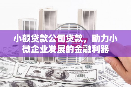 鱼峰小额贷款公司贷款，助力小微企业发展的金融利器