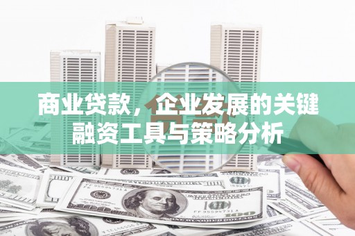 鱼峰商业贷款，企业发展的关键融资工具与策略分析