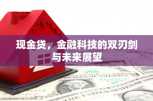 鱼峰现金贷，金融科技的双刃剑与未来展望