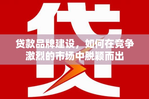 鱼峰贷款品牌建设，如何在竞争激烈的市场中脱颖而出