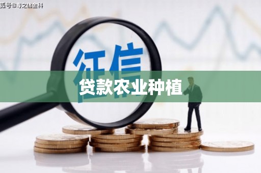 鱼峰贷款农业种植
