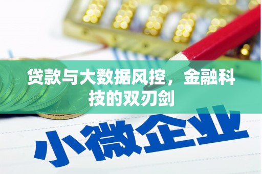 鱼峰贷款与大数据风控，金融科技的双刃剑