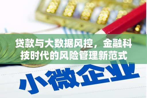鱼峰贷款与大数据风控，金融科技时代的风险管理新范式