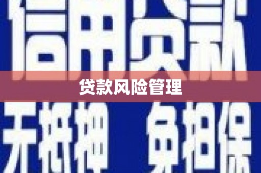 鱼峰贷款风险管理