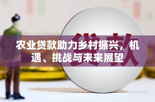 鱼峰农业贷款助力乡村振兴，机遇、挑战与未来展望