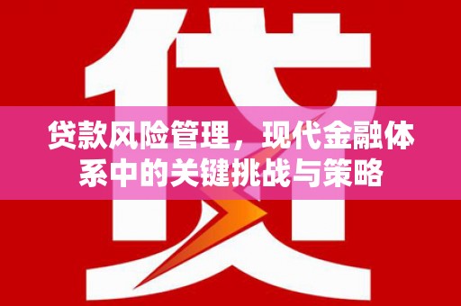 鱼峰贷款风险管理，现代金融体系中的关键挑战与策略