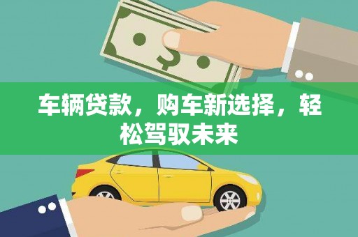 鱼峰车辆贷款，购车新选择，轻松驾驭未来