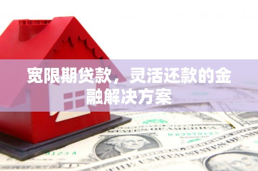 鱼峰宽限期贷款，灵活还款的金融解决方案
