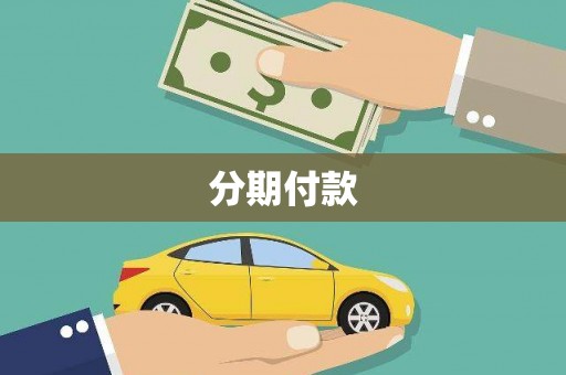 鱼峰分期付款