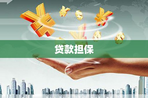 鱼峰贷款担保