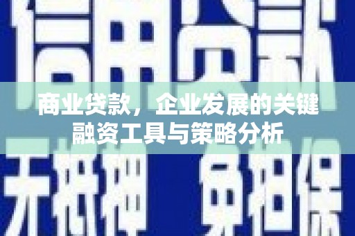 鱼峰商业贷款，企业发展的关键融资工具与策略分析