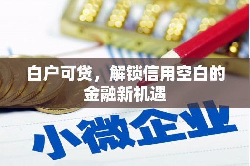 鱼峰白户可贷，解锁信用空白的金融新机遇