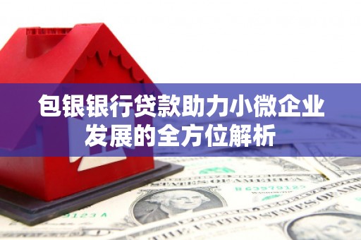 鱼峰包银银行贷款助力小微企业发展的全方位解析