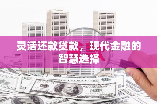 鱼峰灵活还款贷款，现代金融的智慧选择