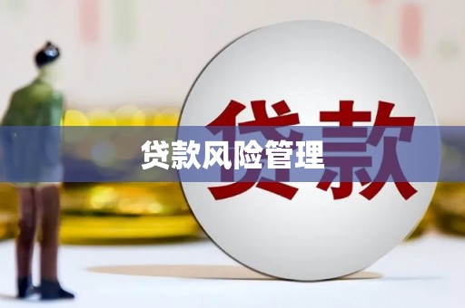 鱼峰贷款风险管理