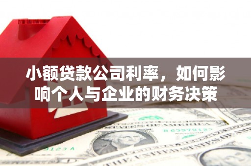 鱼峰小额贷款公司利率，如何影响个人与企业的财务决策