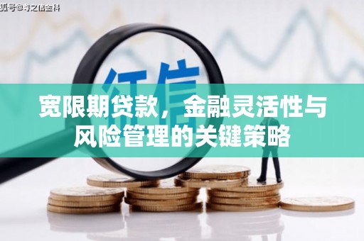 鱼峰宽限期贷款，金融灵活性与风险管理的关键策略