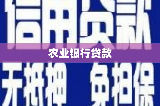 鱼峰农业银行贷款