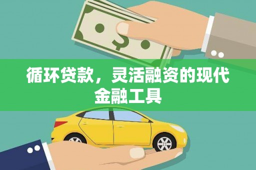 鱼峰循环贷款，灵活融资的现代金融工具