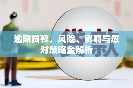 鱼峰逾期贷款，风险、影响与应对策略全解析