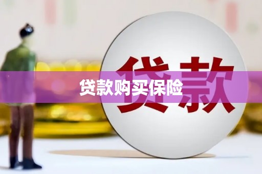鱼峰贷款购买保险