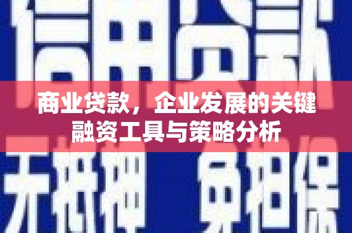 鱼峰商业贷款，企业发展的关键融资工具与策略分析