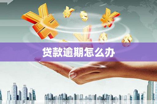 鱼峰贷款逾期怎么办