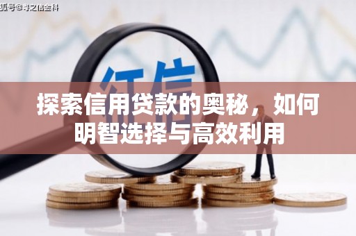 鱼峰探索信用贷款的奥秘，如何明智选择与高效利用