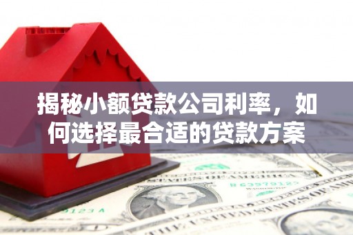 鱼峰揭秘小额贷款公司利率，如何选择最合适的贷款方案