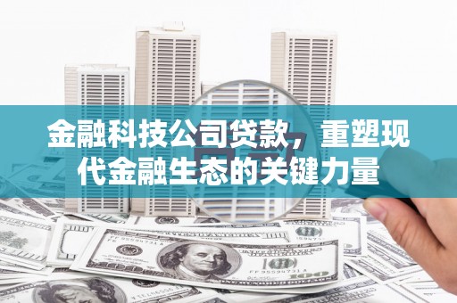 鱼峰金融科技公司贷款，重塑现代金融生态的关键力量