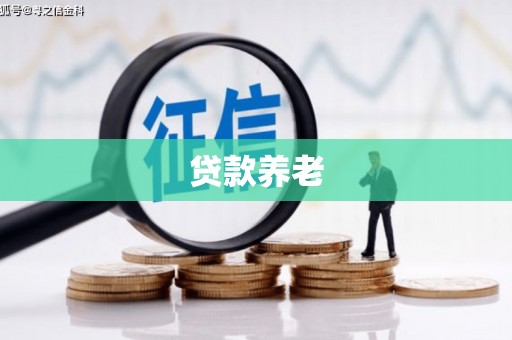 鱼峰贷款养老