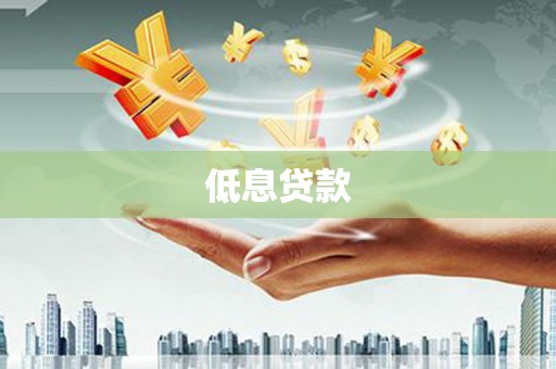 鱼峰低息贷款