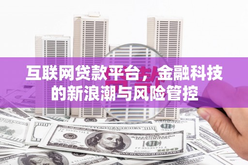 鱼峰互联网贷款平台，金融科技的新浪潮与风险管控