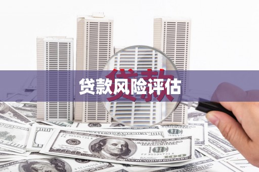 鱼峰贷款风险评估