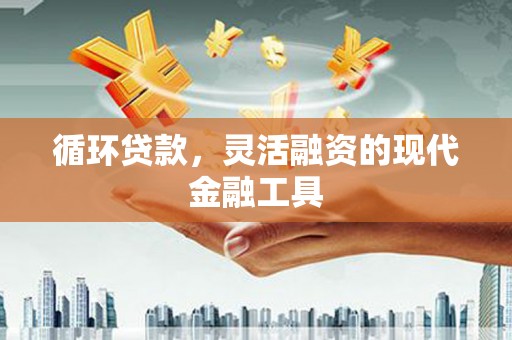 鱼峰循环贷款，灵活融资的现代金融工具